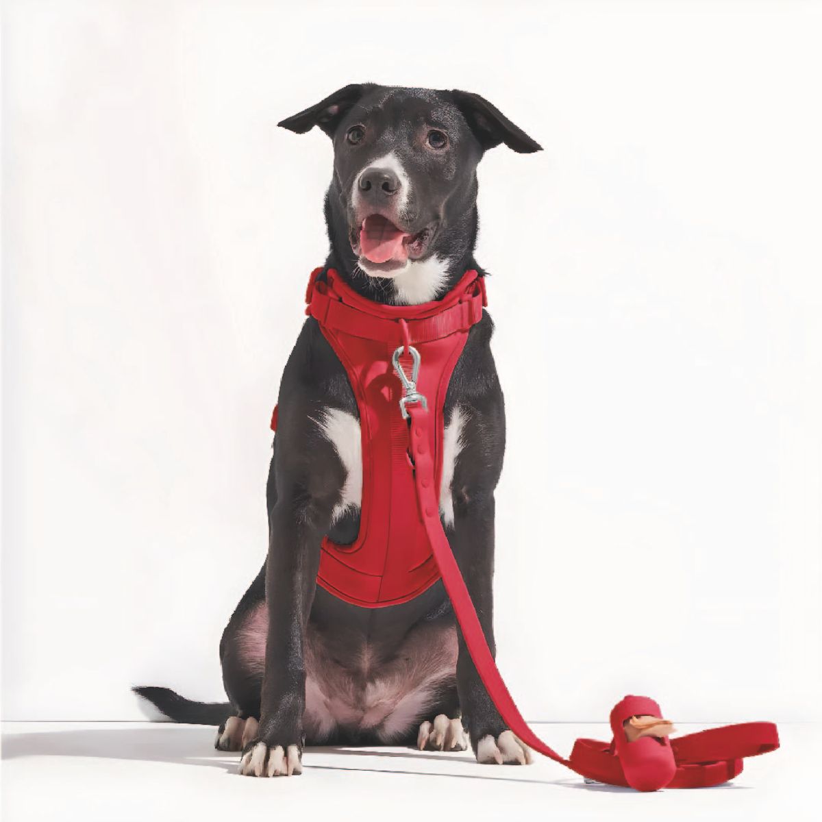 S&T - Correa y Pechera Ajustable Para Perros Rojo - Talla S