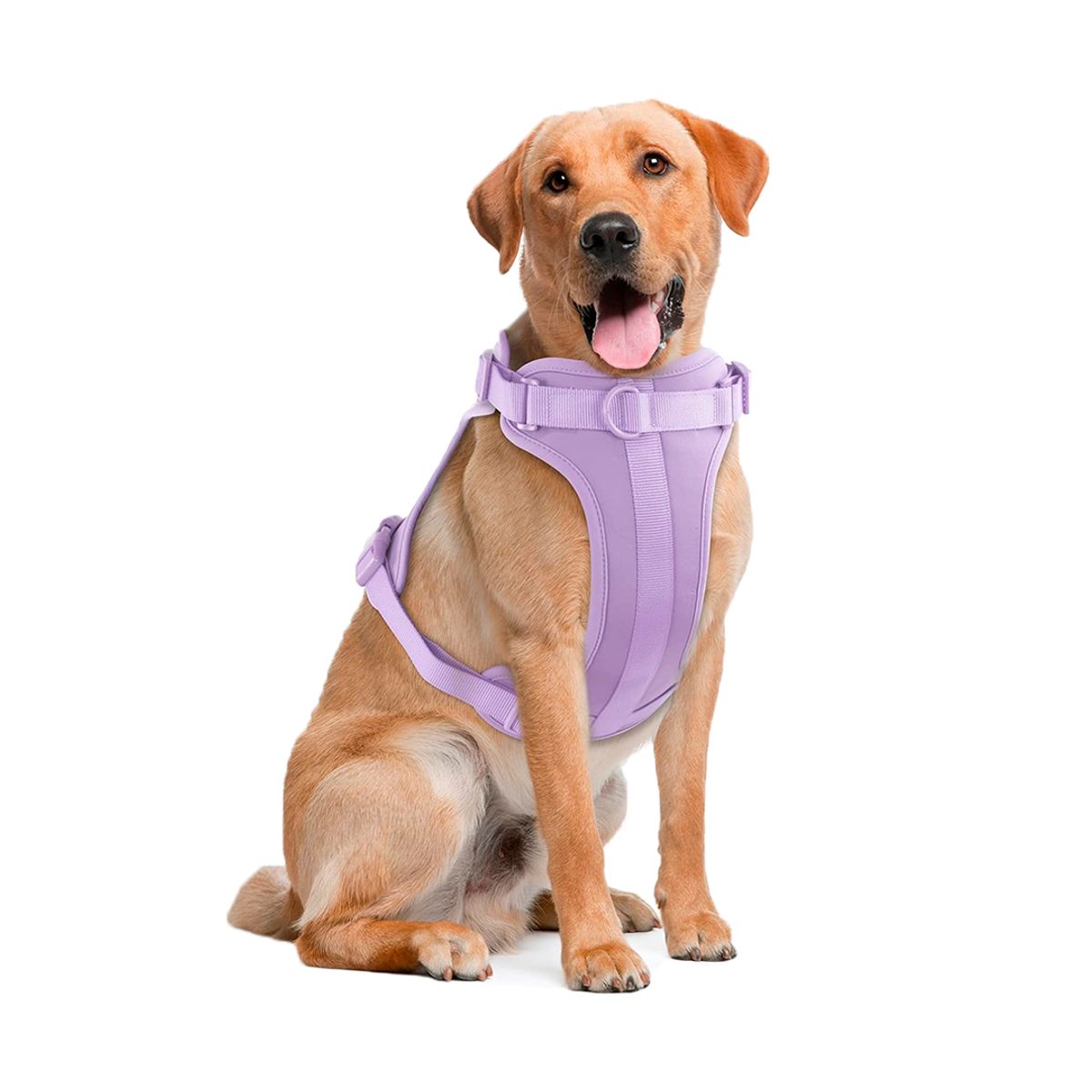 S&T - Pechera Para Perros Nailon Ajustable Lila - Talla M