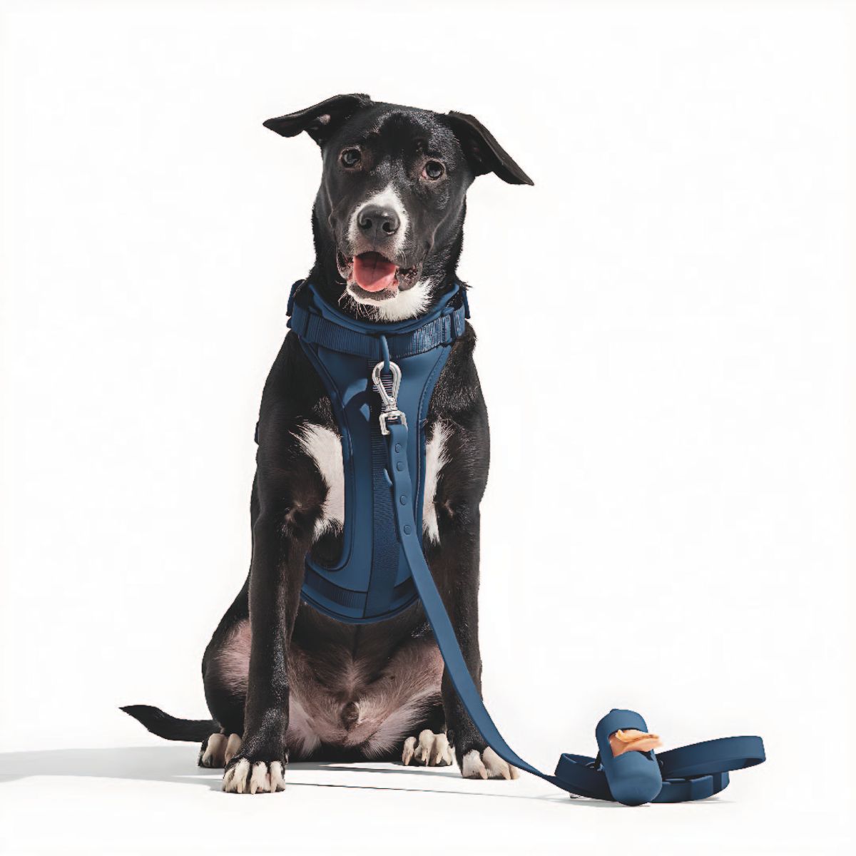 S&T - Pechera Para Perros Nailon Ajustable Azul Oscuro - Talla M