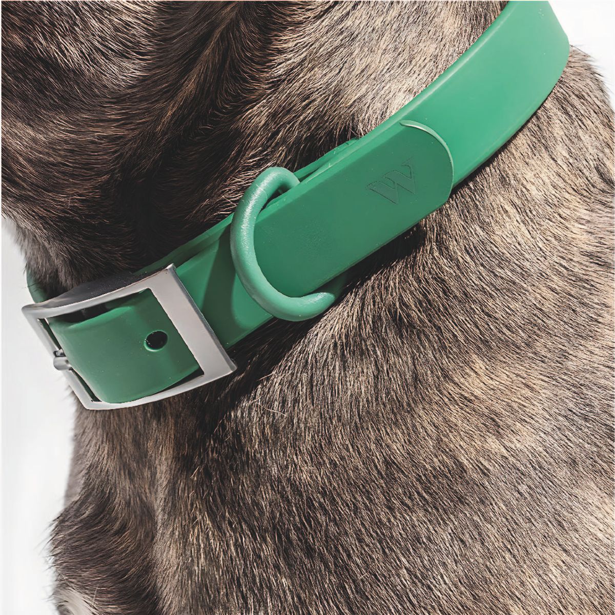 S&T - Collar Para Perros PVC Impermeable Verde - Talla M