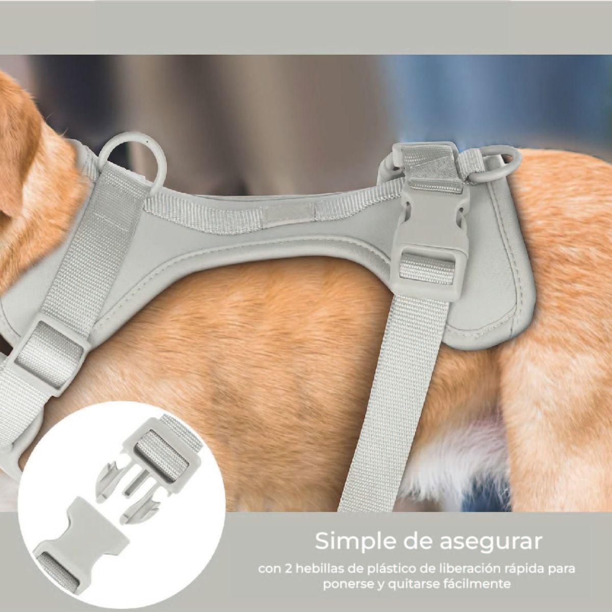 S&T - Pechera Para Perros Nailon Ajustable Gris - Talla M
