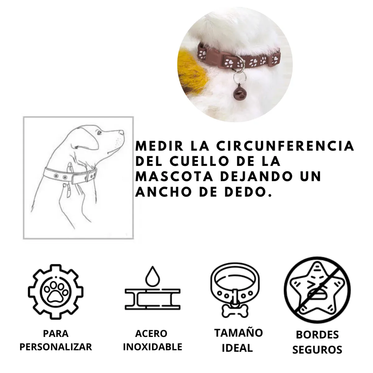 GENERICO - PLACA Y COLLAR P-MASCOTAS C-CASCABEL - AZUL AZUL