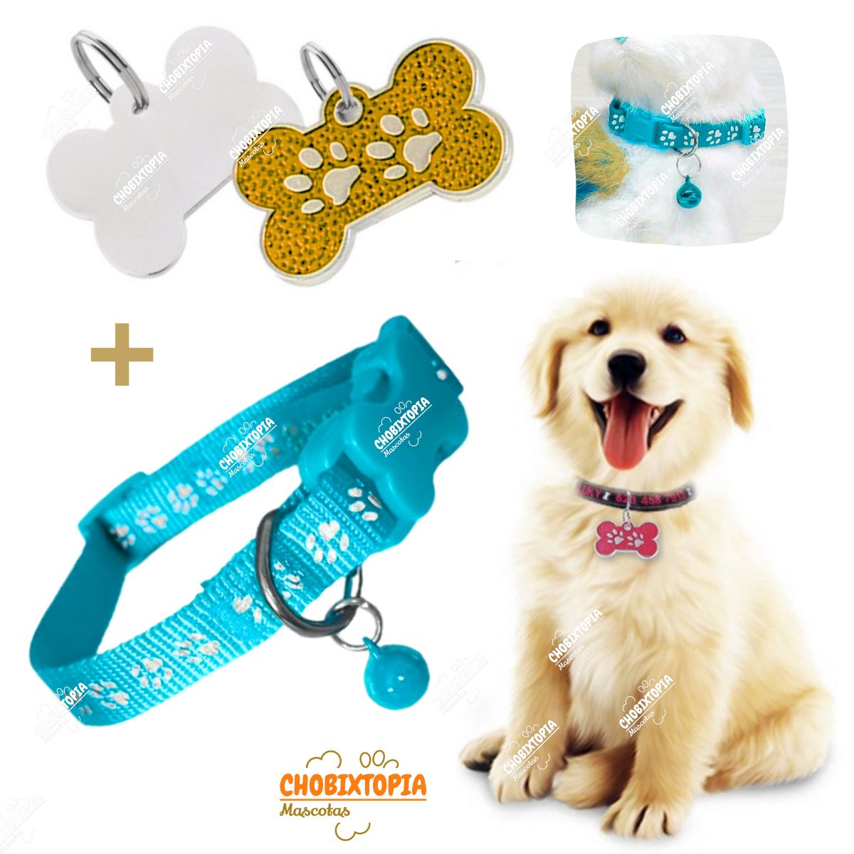 GENERICO - PLACA Y COLLAR P-MASCOTAS C-CASCABEL - DORADO y CELESTE