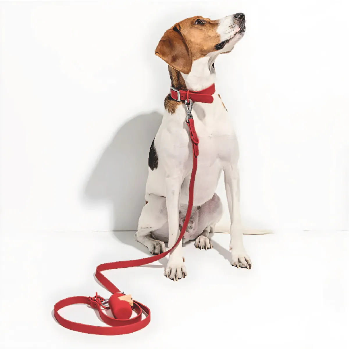 S&T - Correa Para Perros PVC Impermeable Rojo - Talla M