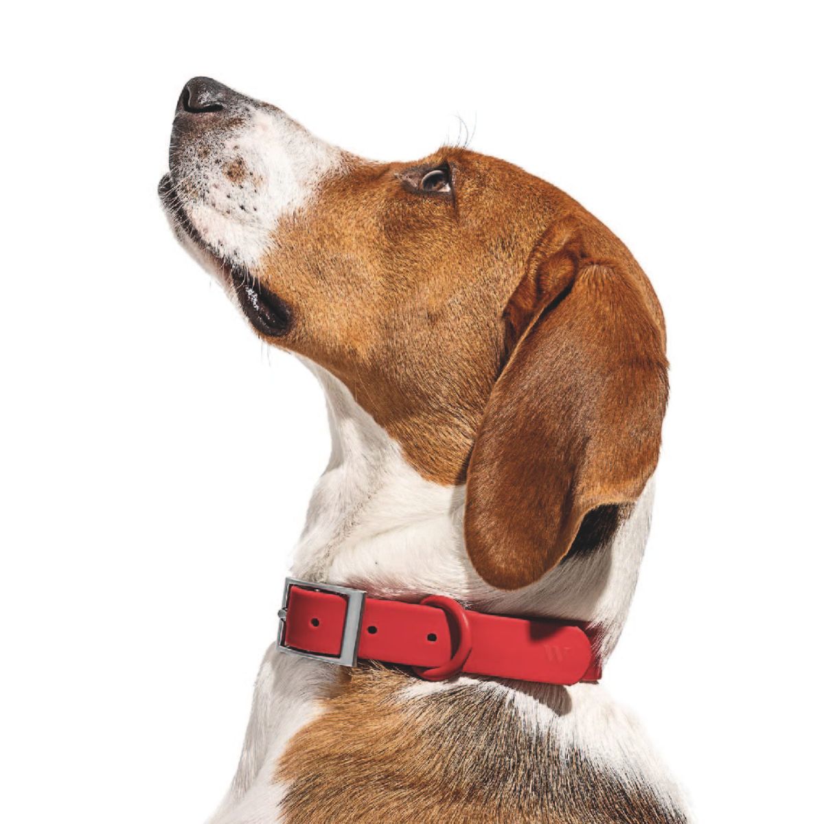 S&T - Collar Para Perros PVC Impermeable Rojo - Talla M