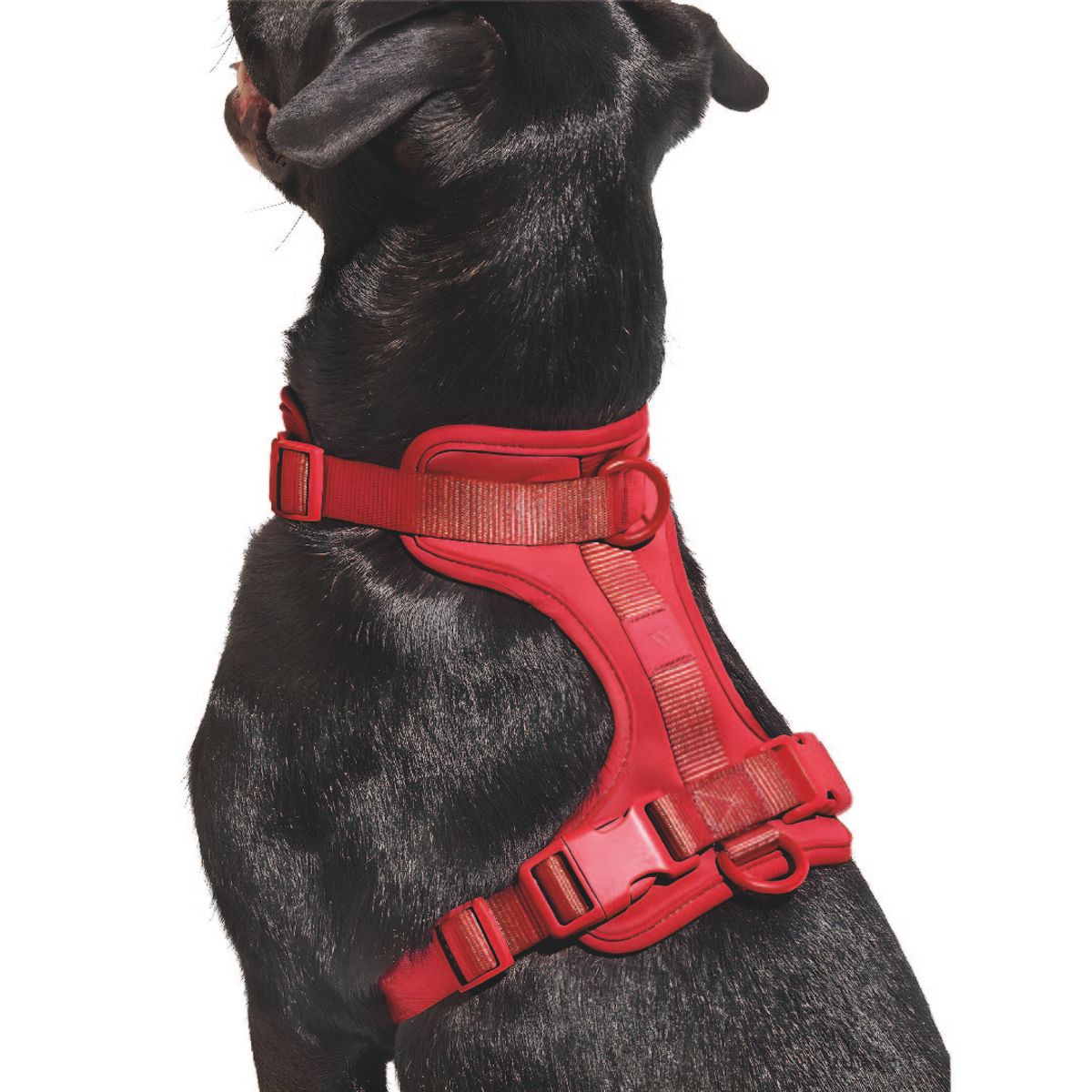 S&T - Pechera Para Perros Nailon Ajustable Rojo - Talla M