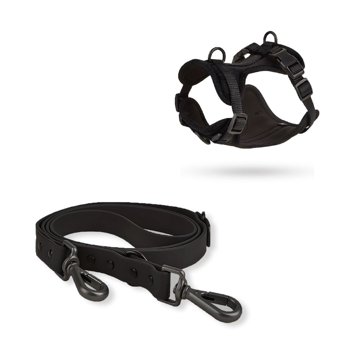 S&T - Correa y Pechera Ajustable Para Perros Negro - Talla S