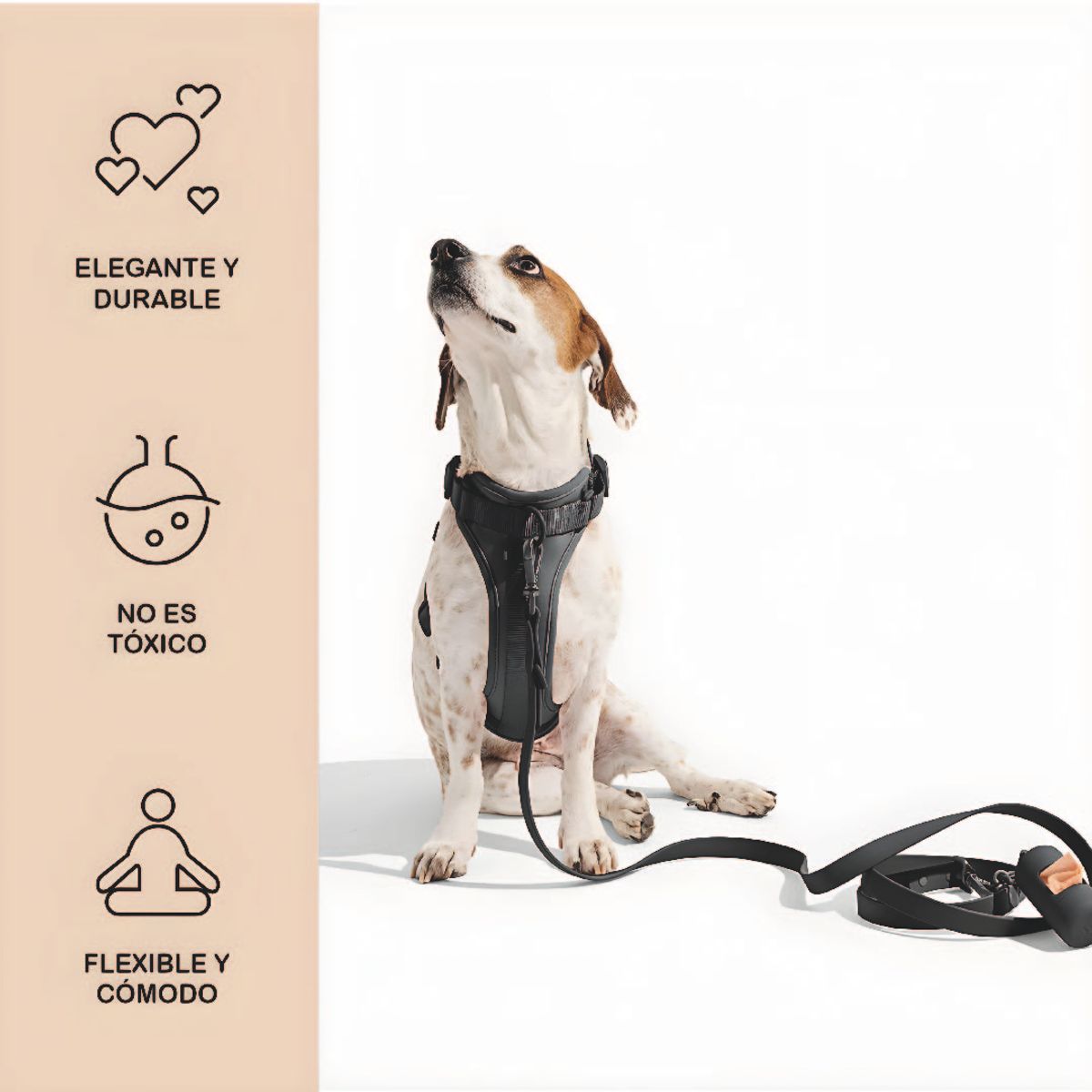 S&T - Correa y Pechera Ajustable Para Perros Negro - Talla S