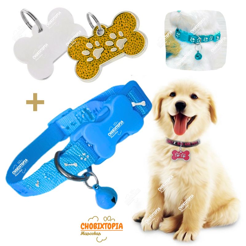 GENERICO - PLACA Y COLLAR PARA MASCOTAS CON CASCABEL - GOLDEN y CELESTE