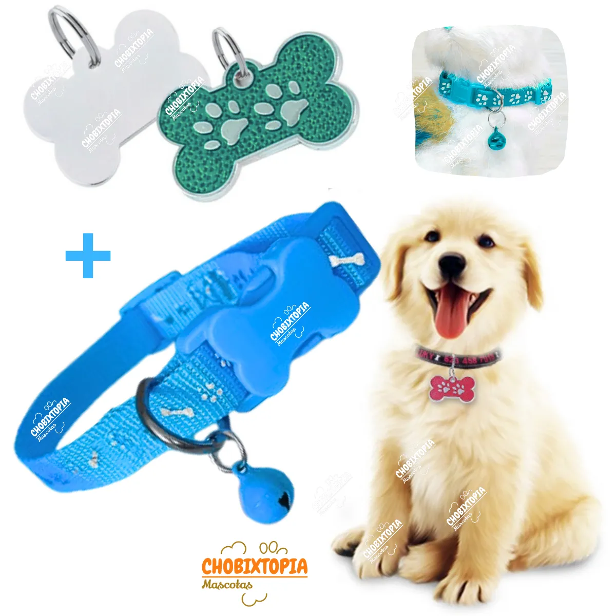 GENERICO - PLACA Y COLLAR PARA MASCOTAS CON CASCABEL - VERDE y CELESTE