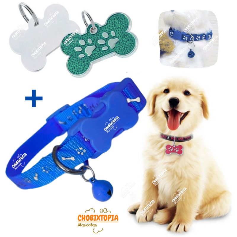 GENERICO - PLACA Y COLLAR PARA MASCOTAS CON CASCABEL - VERDE y AZUL