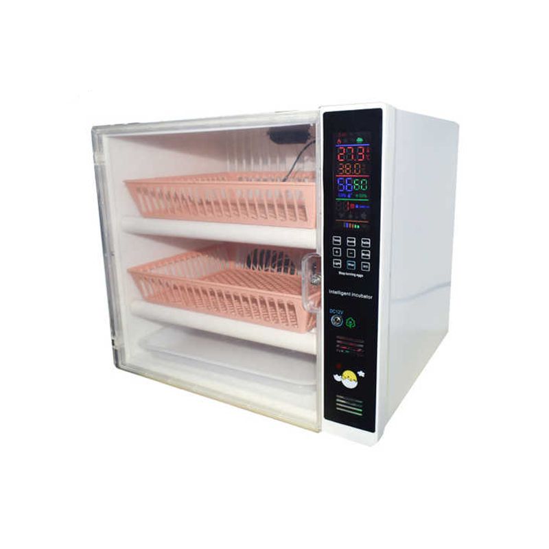 GENERICO - INCUBADORA DE 60 HUEVOS TIPO MICROONDAS DUAL 220V/12V