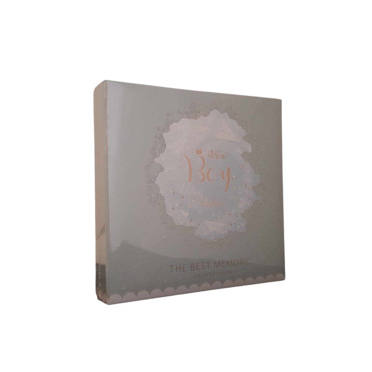 PROFESSIONAL SERIES - Albums para 200 fotos en tamaño 10x15 CON ESPACIO DE LINEAS PARA MEMO