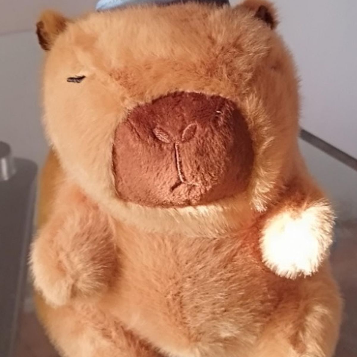 GENERICO - CAPIVARA con gorrito para niño