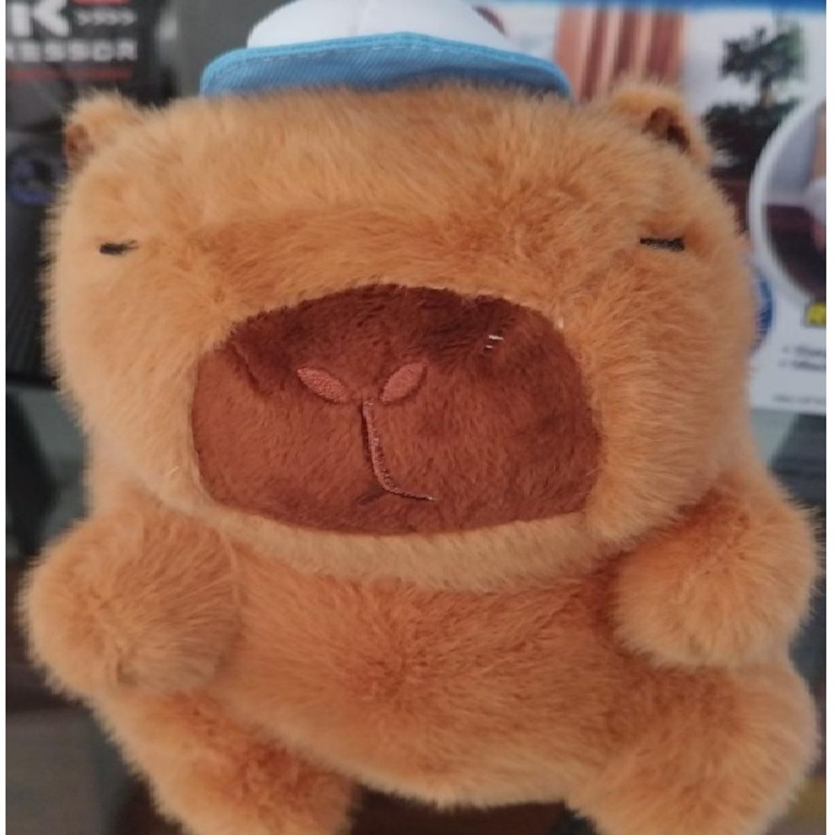GENERICO - CAPIVARA con gorrito para niño