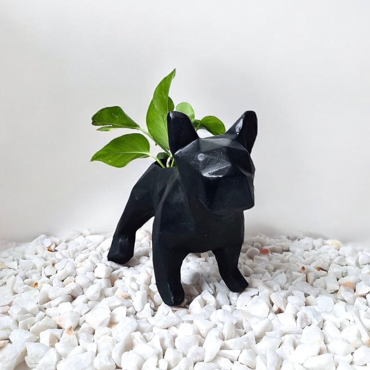 CONKRETE - Maceta Pet Bulldog Francés + Planta de interior Photus