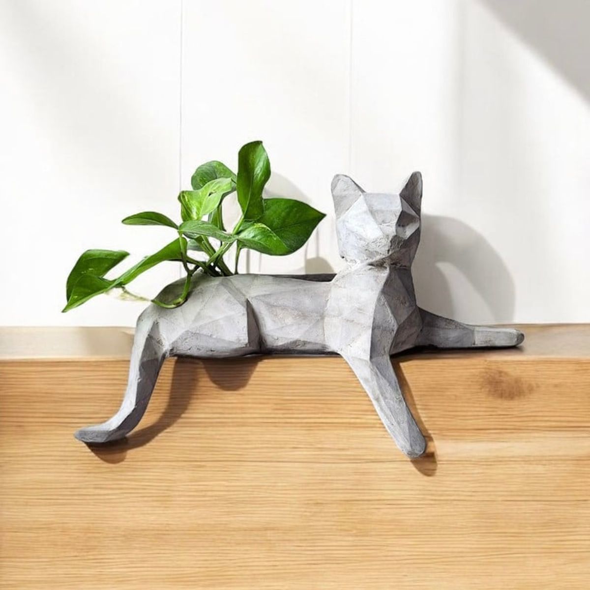 CONKRETE - Maceta Pet Gato + Planta de interior Photus