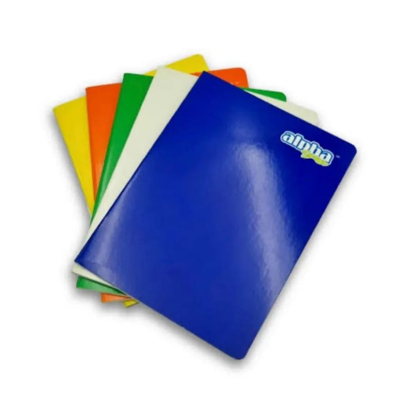 ALPHA - Caja de cuadernos alpha school x 25 unidades surtido