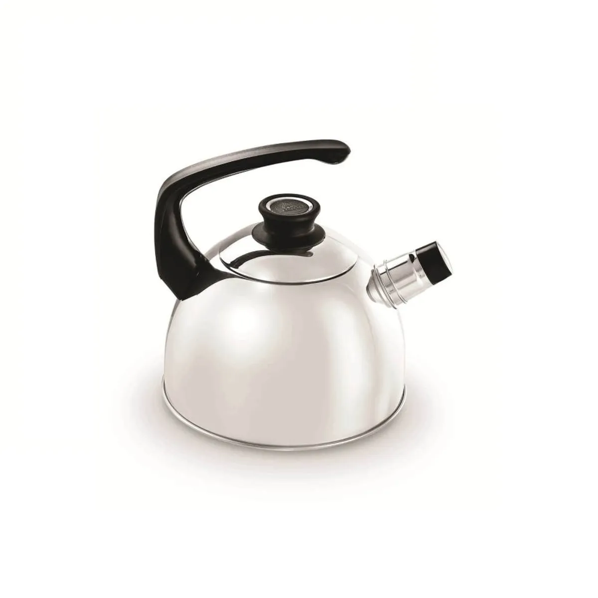 RECORD - Tetera Record Acero inoxidable 24L  TE INOXCLASICA N20