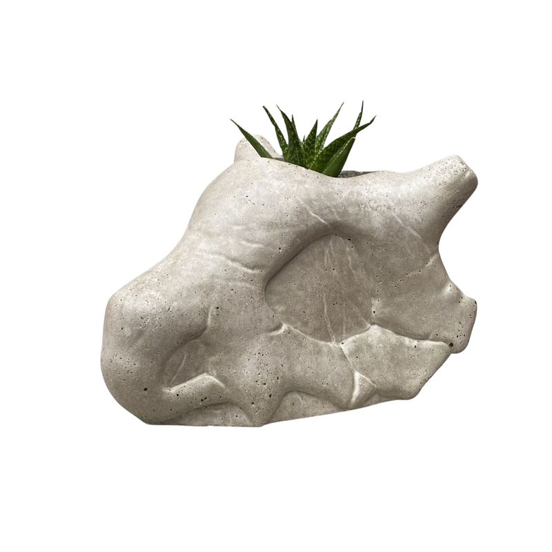 GENERICO - Maceta Suculenta Escultura Anime PKM Gris