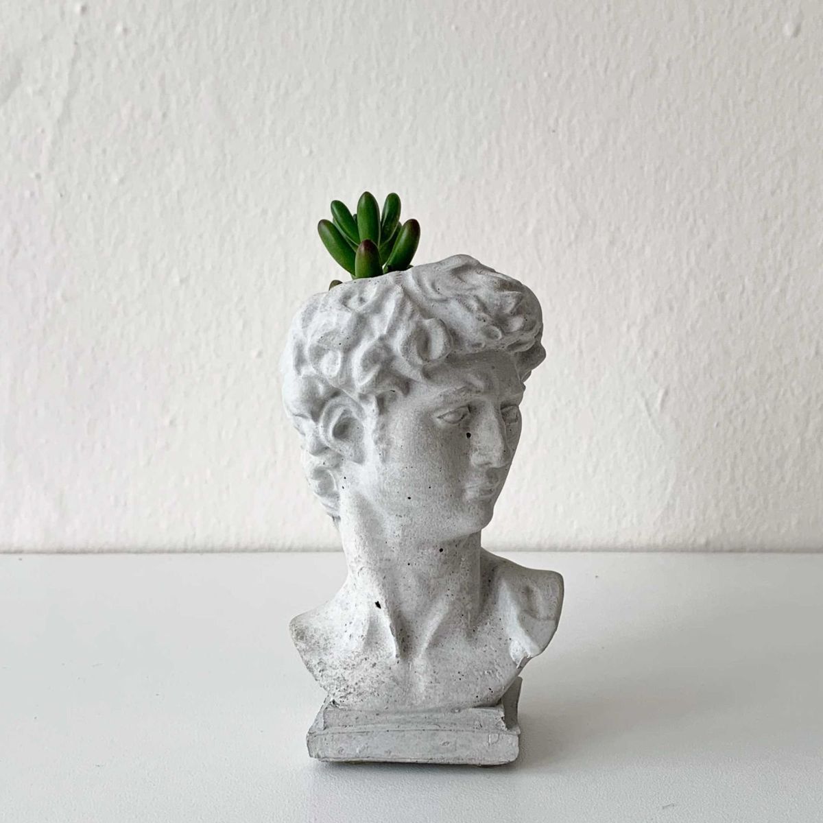 GENERICO - Maceta David de Miguel Ángel de Concreto con Suculenta