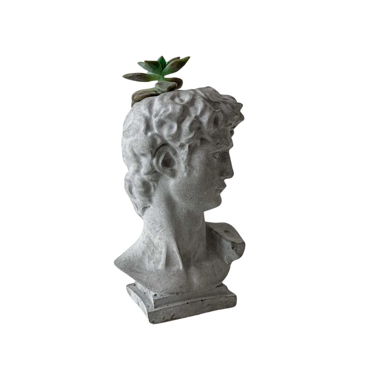 GENERICO - Maceta David de Miguel Ángel de Concreto con Suculenta