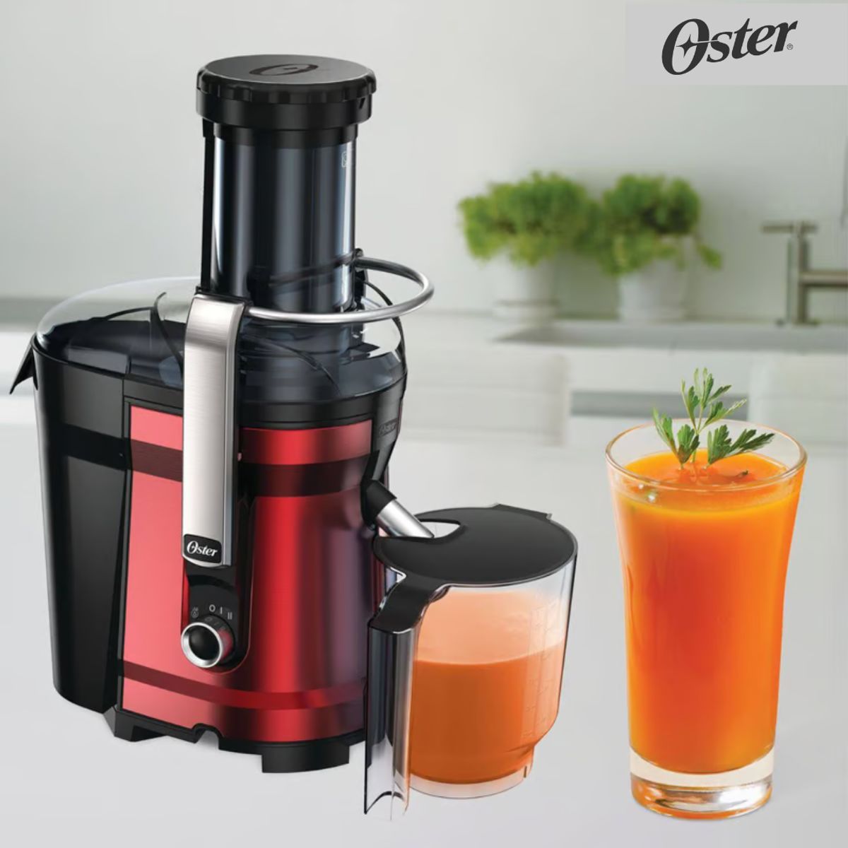 OSTER - Extractor de Jugo 1000w FPSTJE318R Oster