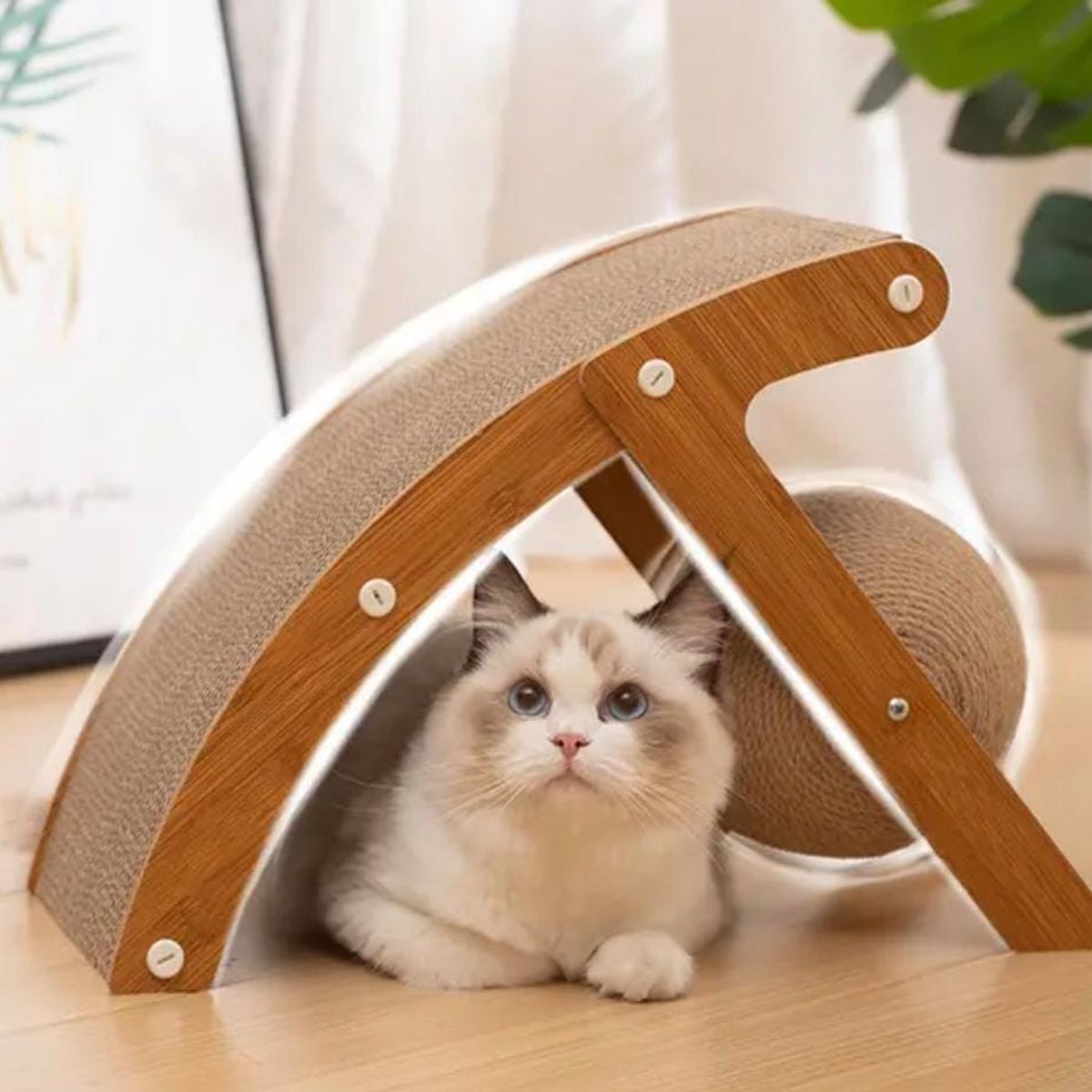 GENERICO - Rascador Curvo para Gato con Bola