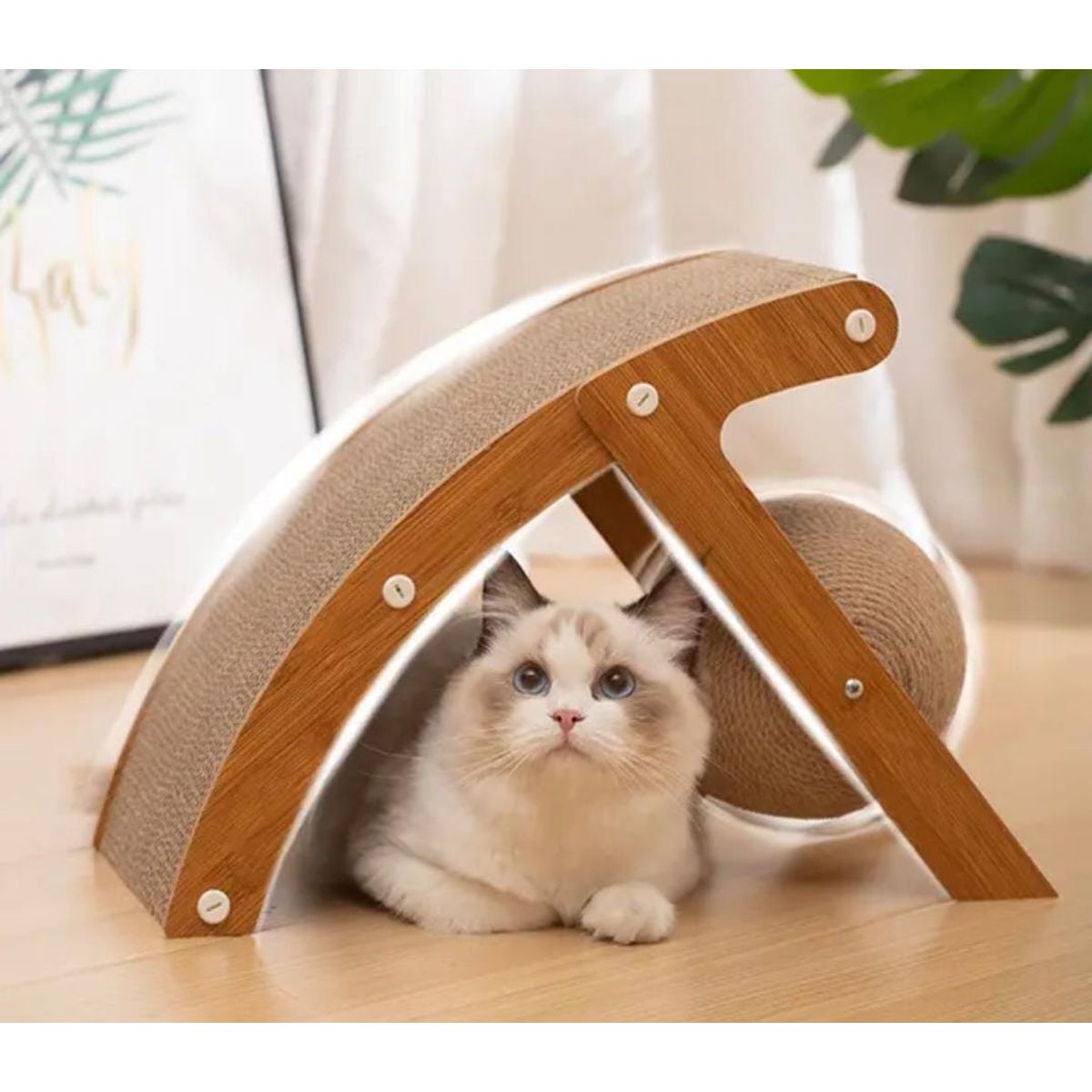 GENERICO - Rascador Curvo para Gato con Bola