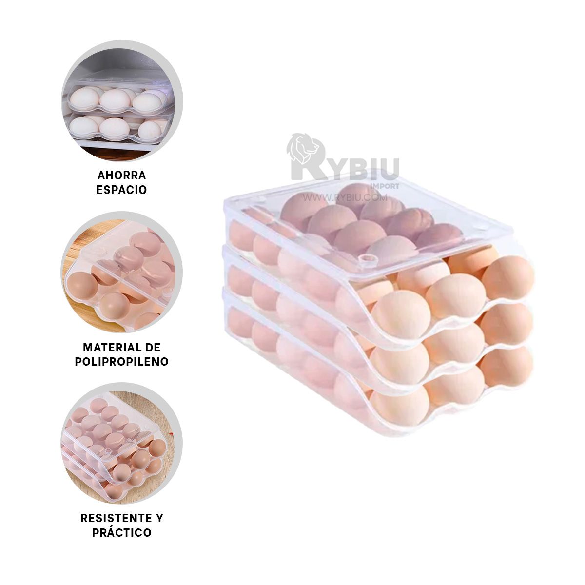 GENERICO - Bandeja de Moda en Transparente Y+Ligas de Regalo