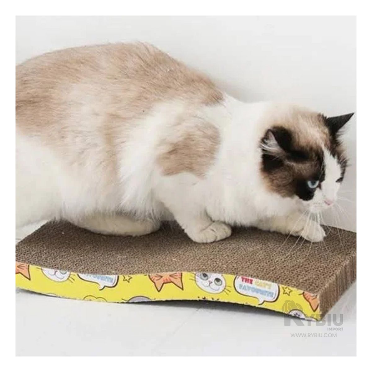 RYBIU IMPORT - Rascador Protector de Muebles en S Carton Y+Regalo Agendita