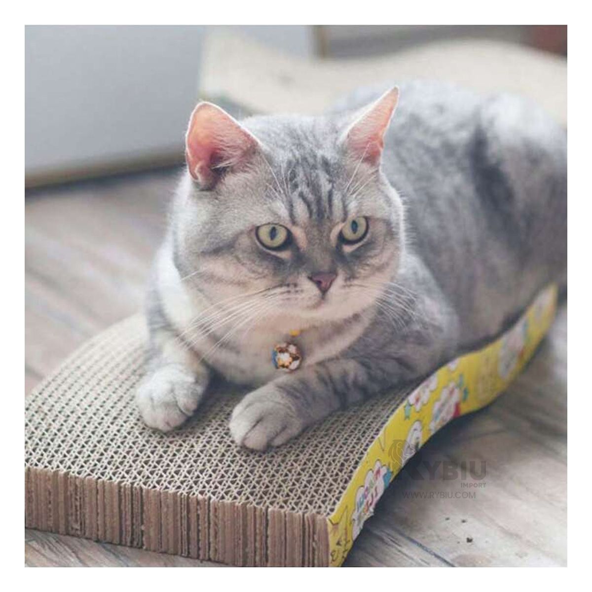 GENERICO - Scratcher Duradero para Gatos de Carton Y+Gift MiniAgenda