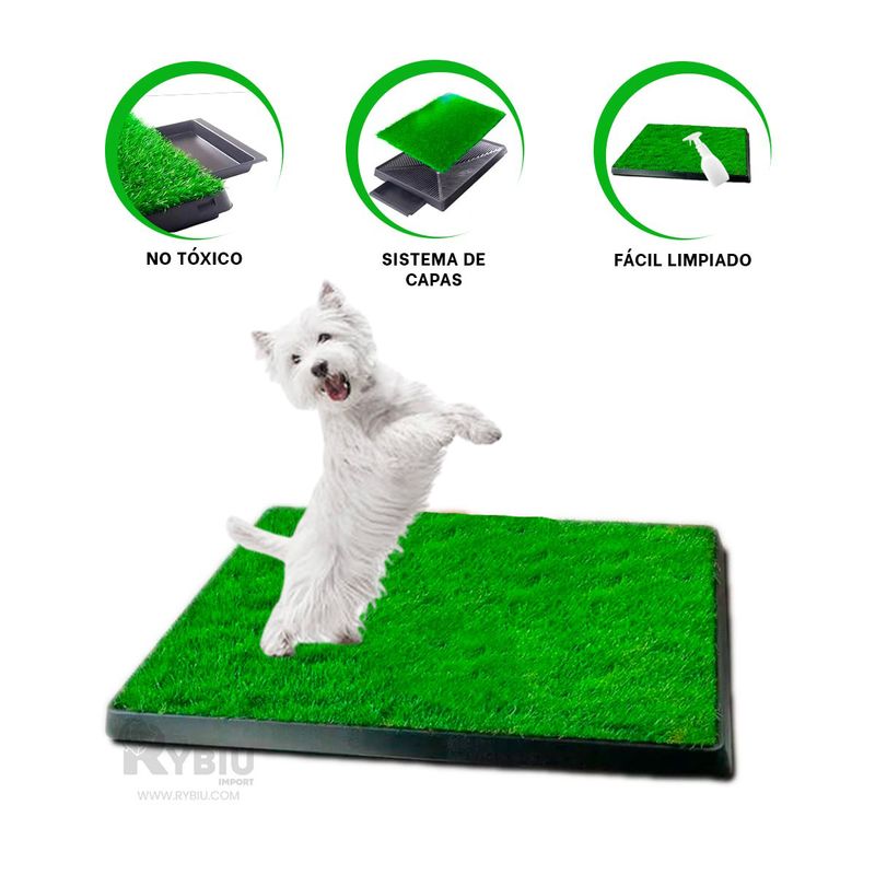 GENERICO - Bandeja Lavable de Perros M Negro Y+Post-it Adhesivos