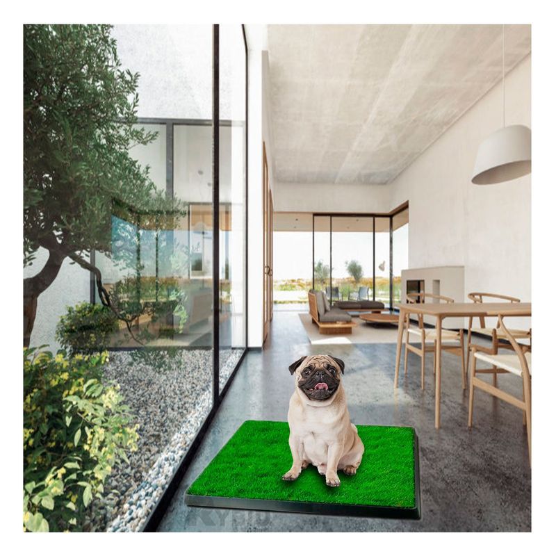 GENERICO - Baño Cesped Artificial para Perro Talla M Negro