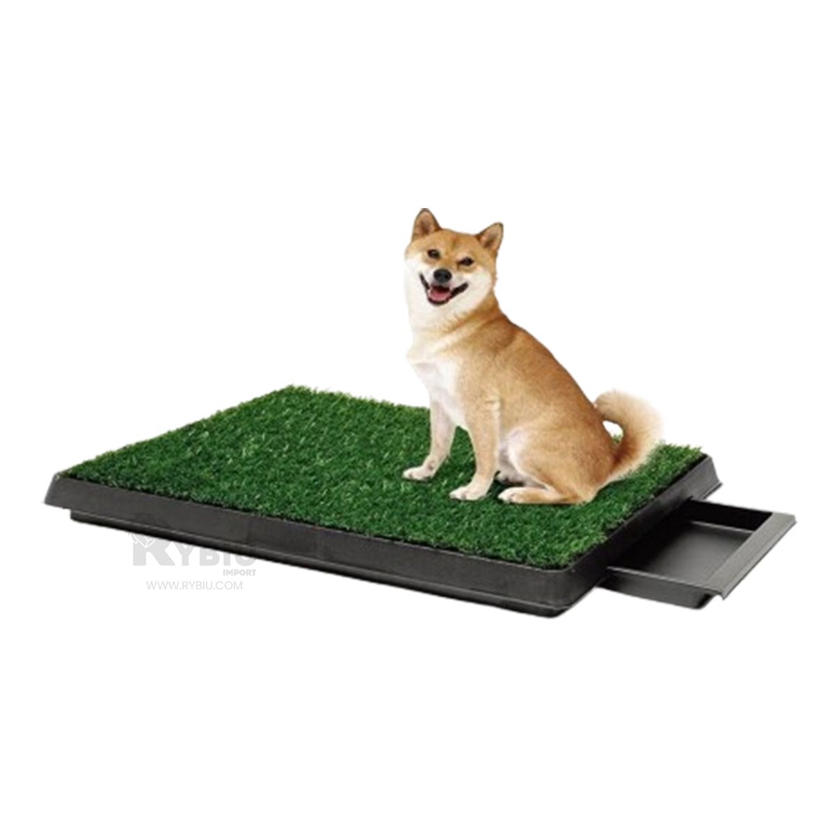 GENERICO - Sanitario para Perros Compacto M Negro Y+Gift MiniAgenda