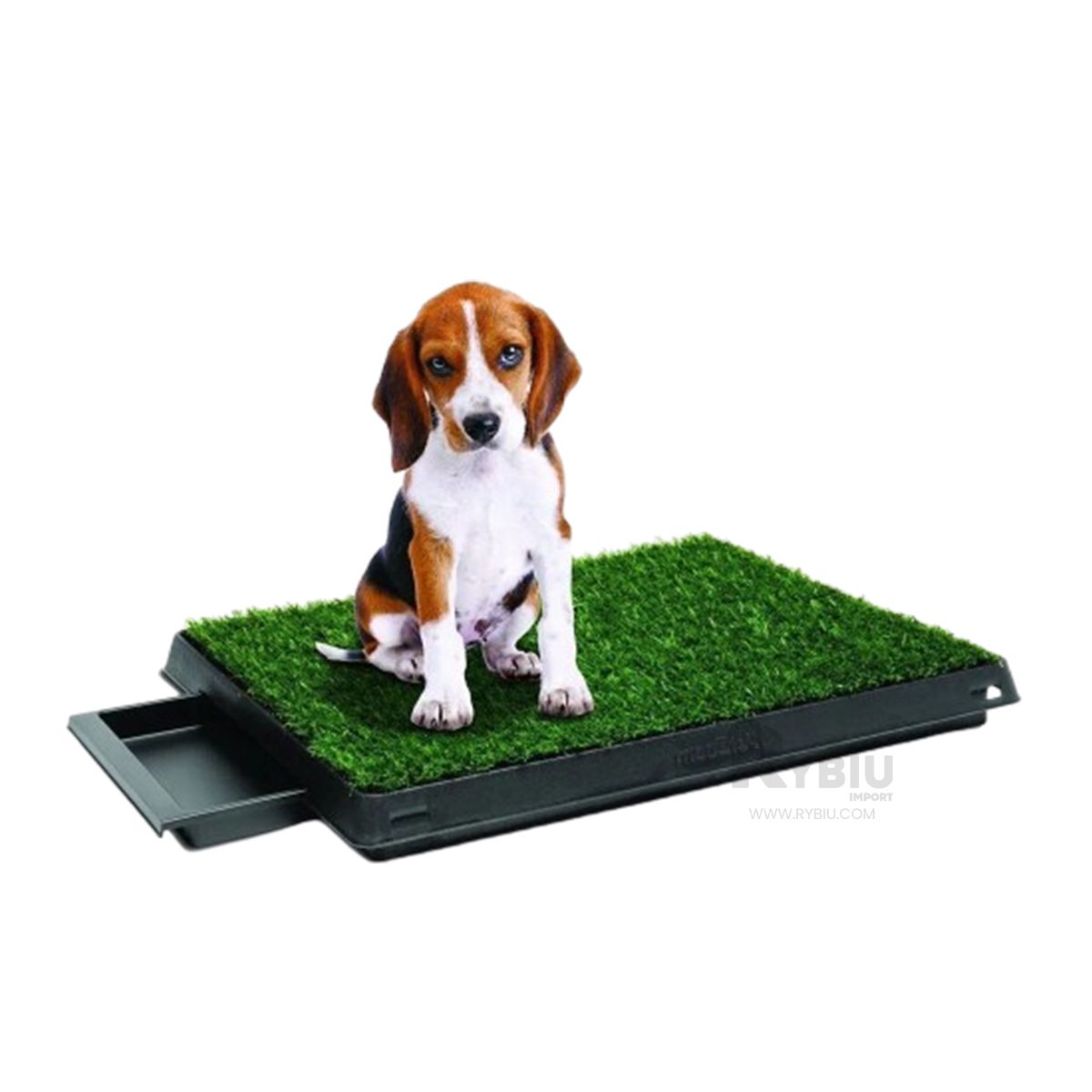 GENERICO - Sanitario para Perros Compacto M Negro Y+Gift MiniAgenda