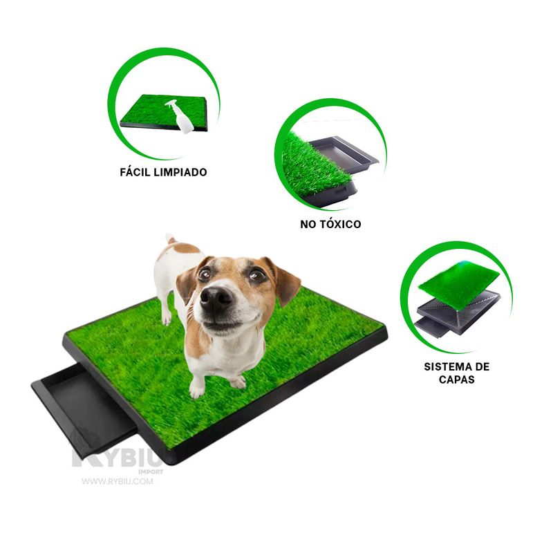 GENERICO - Sanitario Funcional M en Color Negro Y+Regalo Agendita