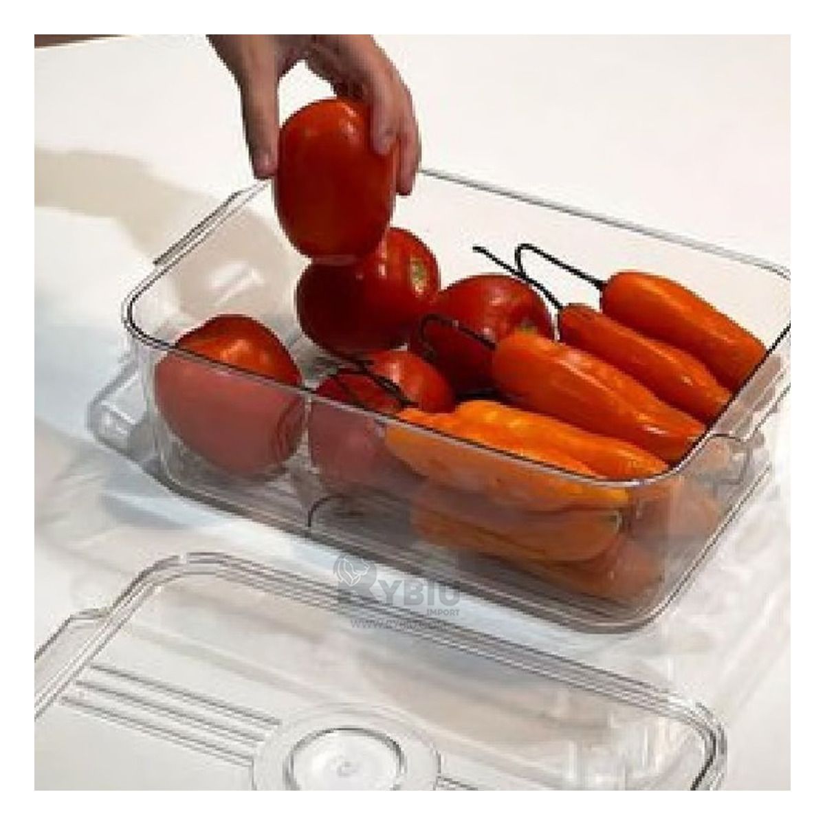 GENERICO - Bandeja Rectangular con Tapa Transparente Y+Regalo Stickers