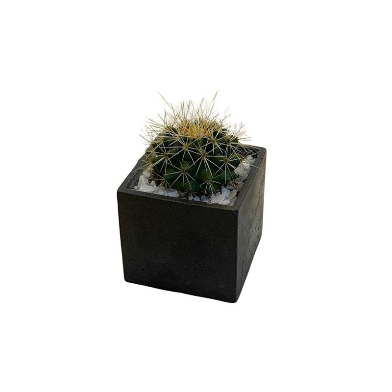 GENERICO - Cubo Maceta Concreto Cactus