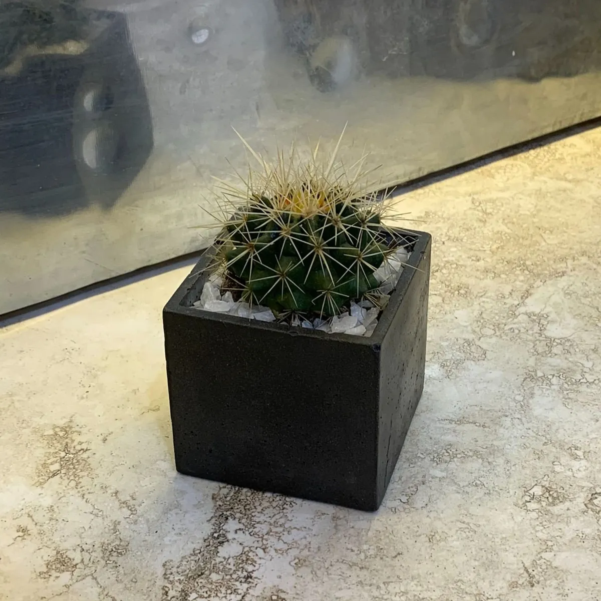 GENERICO - Cubo Maceta Concreto Cactus