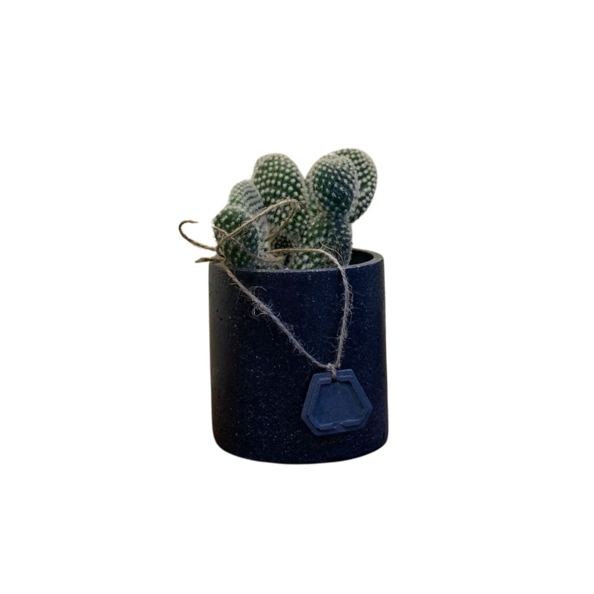 GENERICO - Cilindro Maceta Concreto Cactus