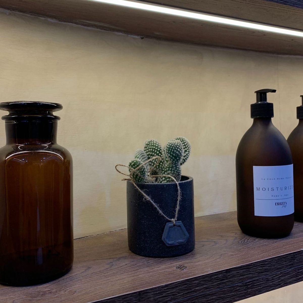 GENERICO - Cilindro Maceta Concreto Cactus