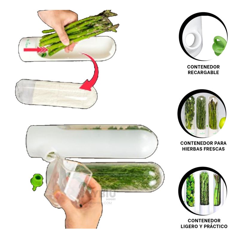 GENERICO - Conservador Hermetico de Verduras Blanco Y+Papel de Regalo