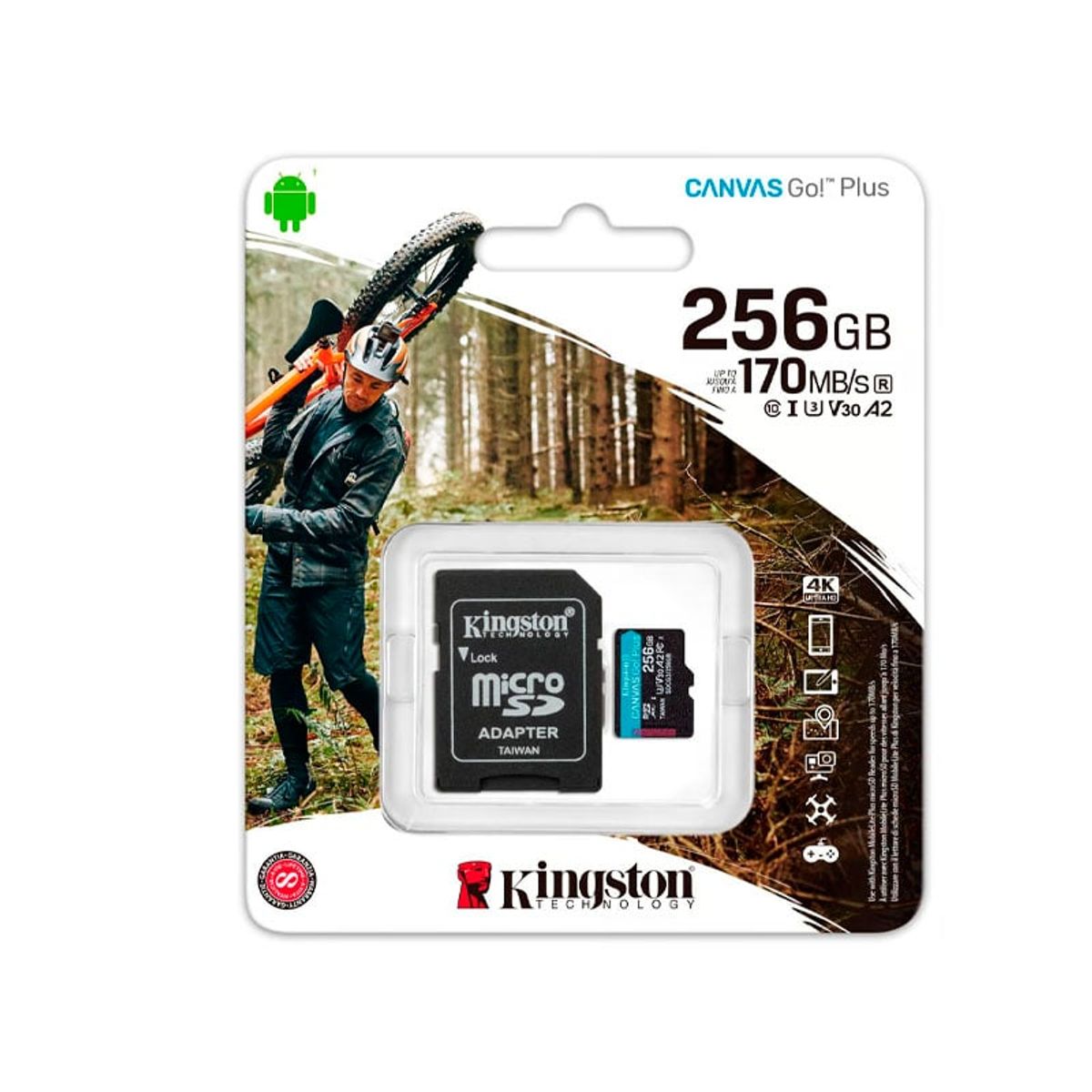 KINGSTON - MEMORIA KINGSTON MICRO SD GO! PLUS 256GB CLASE 10