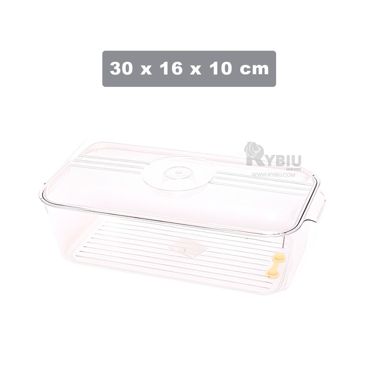 RYBIU IMPORT - Fuente Versatil Rectangular de 30x16x10cm Y+Regalo Agendita