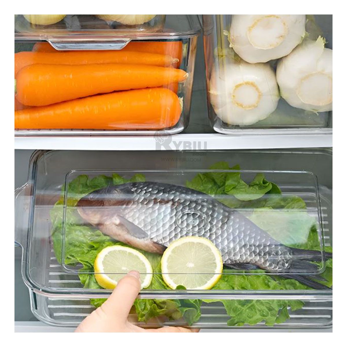 RYBIU IMPORT - Fuente Versatil Rectangular de 30x16x10cm Y+Regalo Agendita