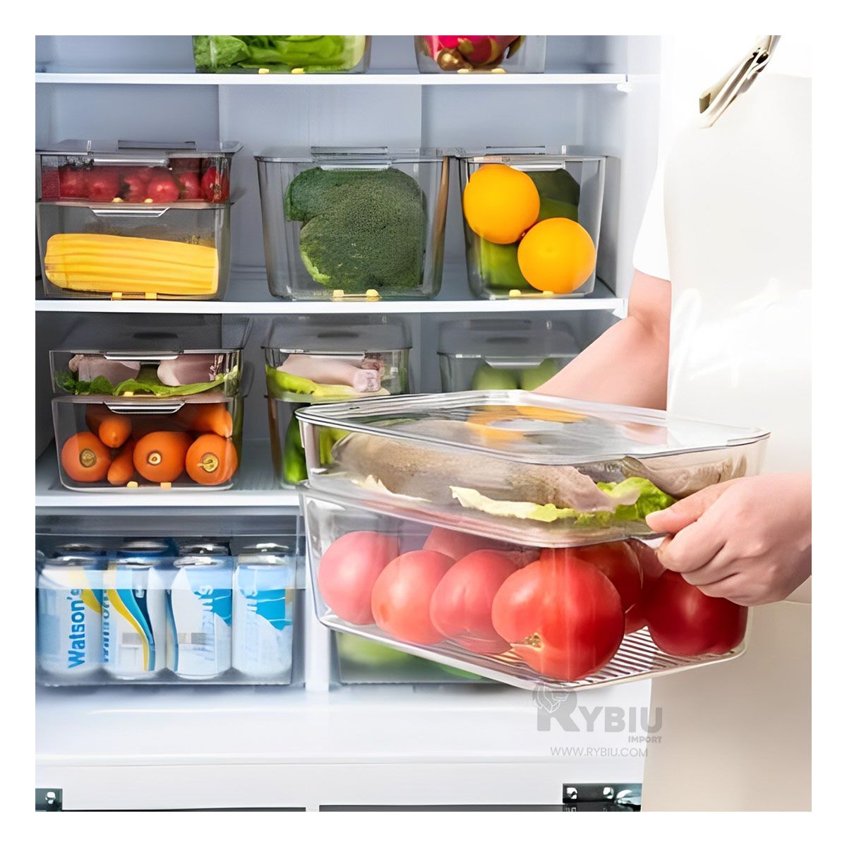 GENERICO - Fuente Comoda de Acrilico 30x16x10cm Y+Envoltorio de Regalo