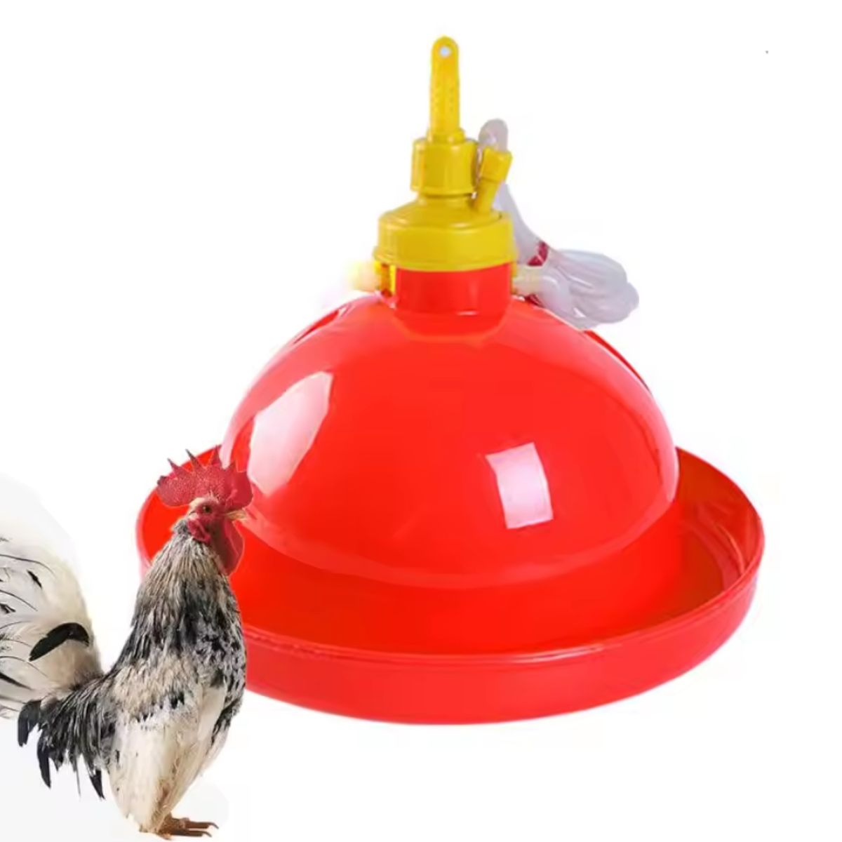 GENERICO - Bebedero Automático Plasson Tipo Campana para Aves 36cm
