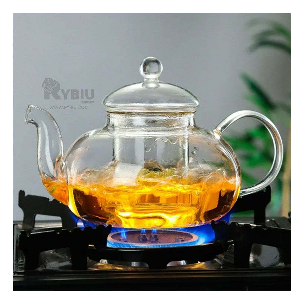 GENERICO - Caldera para Agua de 100ML Transparente Y+Gift MiniAgenda