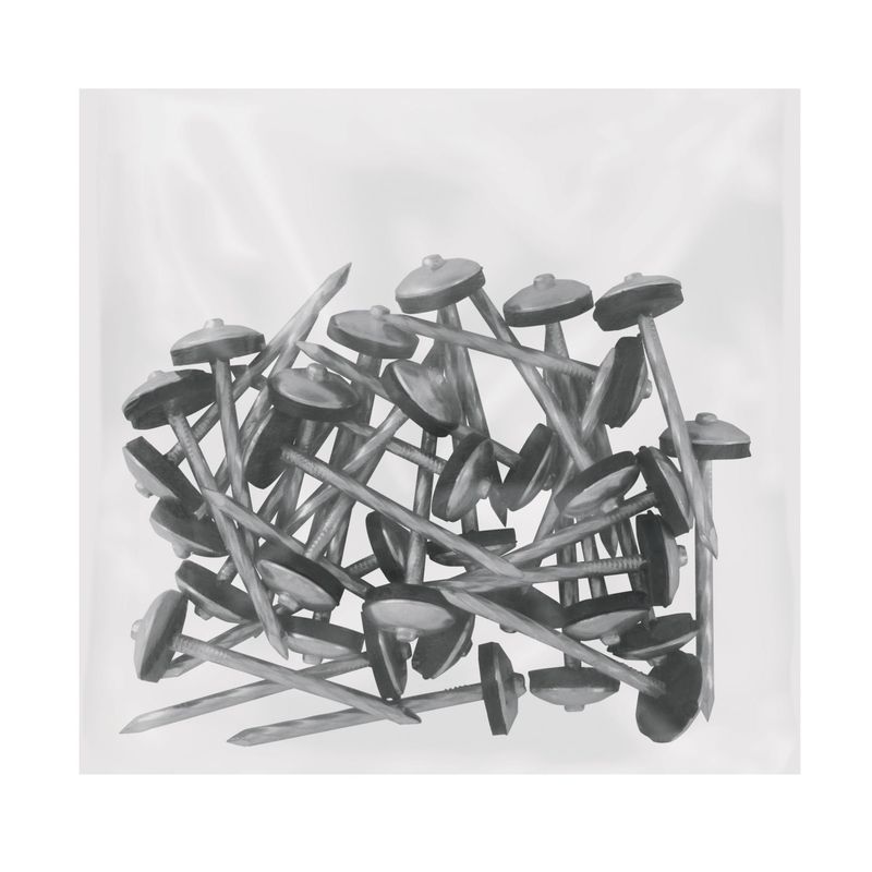 TRUPER - Clavo calamina BWG 9x2.5" c/arandela, caja con 10 kg, Truper